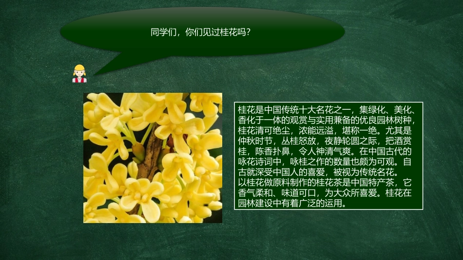 《桂花雨》PPT免费优秀课件[部编版五年级语文上册]_第2页