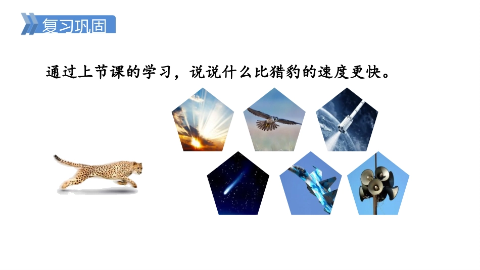 《什么比猎豹的速度更快》PPT课文课件[部编版五年级语文]_第2页