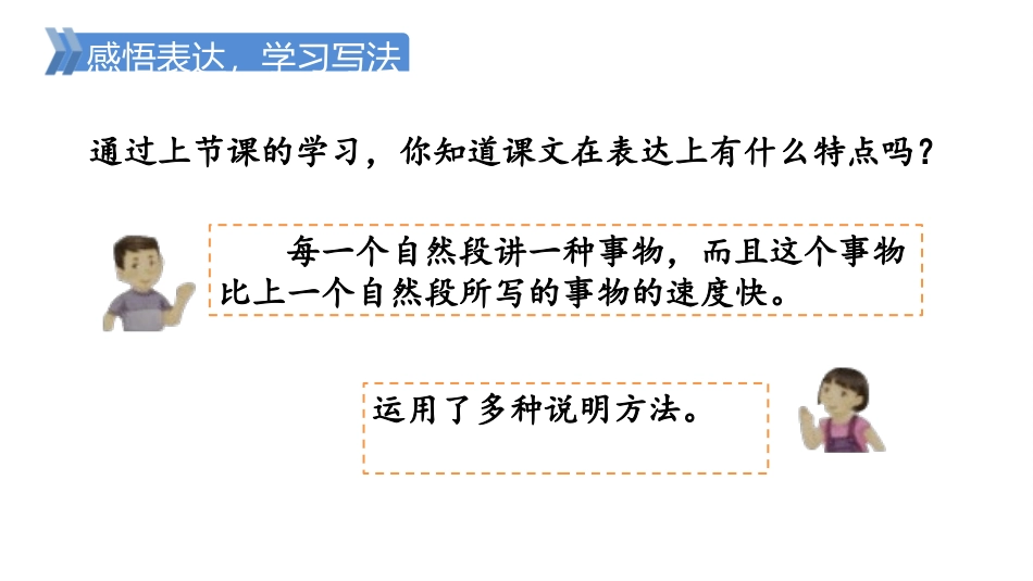 《什么比猎豹的速度更快》PPT课文课件[部编版五年级语文]_第3页