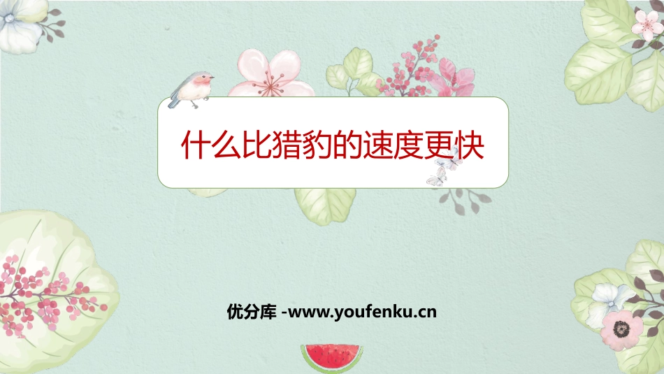 《什么比猎豹的速度更快》PPT免费教学课件[部编版五年级语文]_第1页