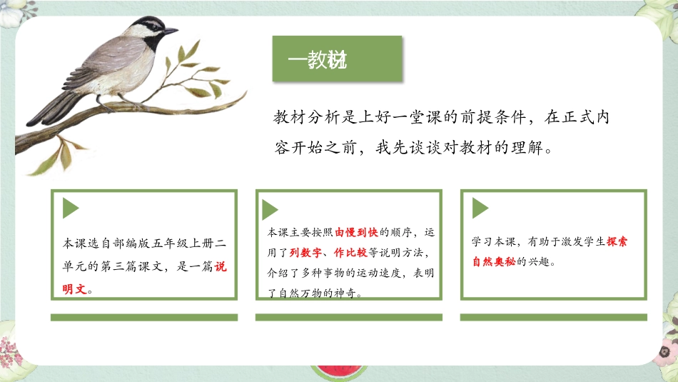 《什么比猎豹的速度更快》PPT免费教学课件[部编版五年级语文]_第3页