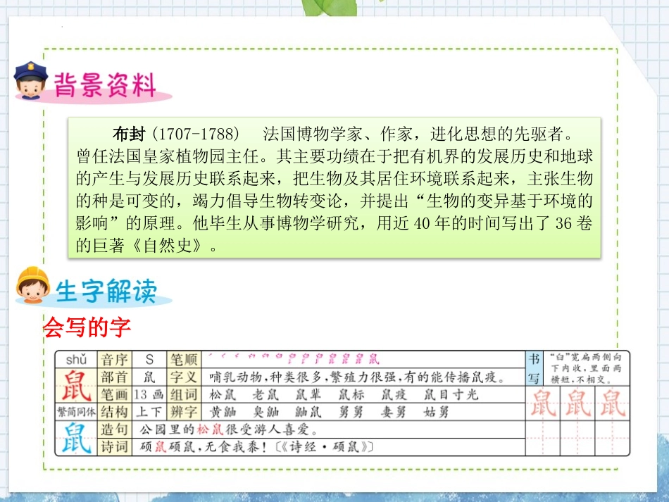 《松鼠》PPT免费优质课件[部编版五年级语文上册]_第2页