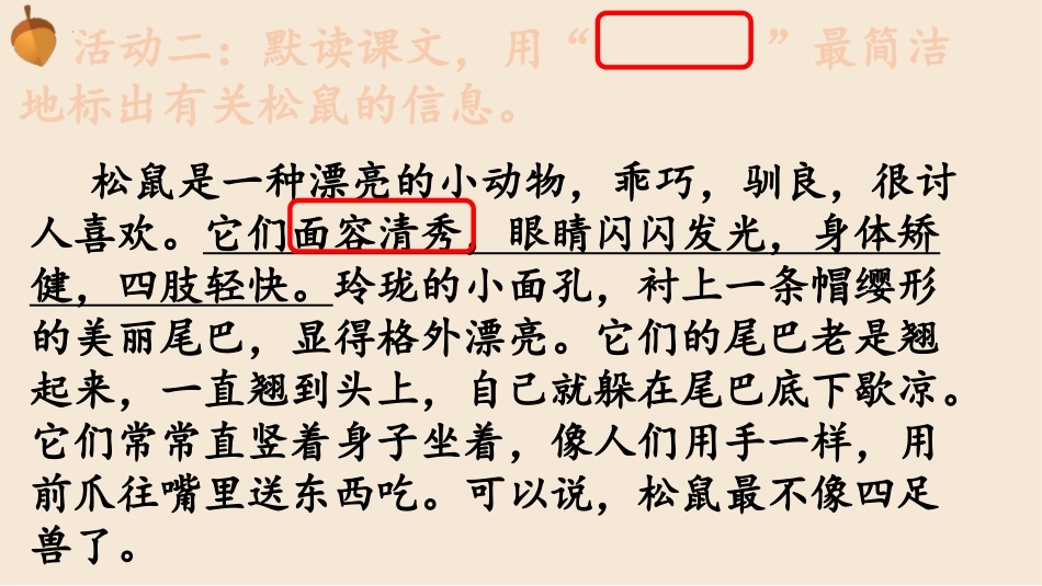 《松鼠》PPT免费优秀课件[部编版五年级语文上册]_第3页