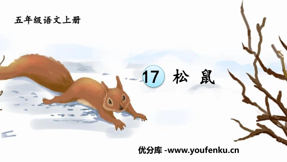 《松鼠》PPT免费精品课件[部编版五年级语文上册]_第1页