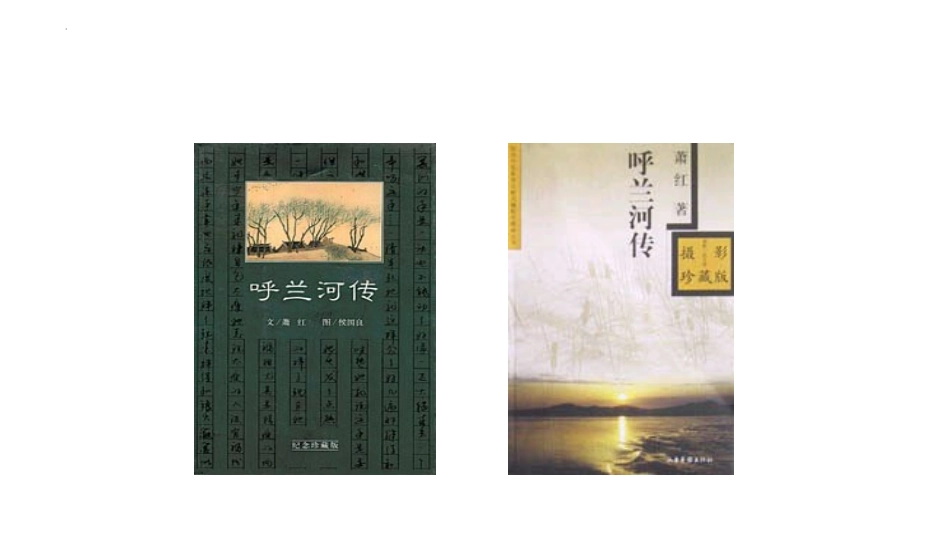 《祖父的园子》PPT精品课件[部编版五年级语文下册]_第2页