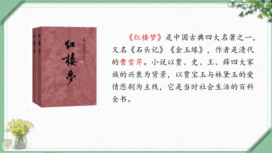 《红楼春趣》PPT优秀课件[部编版五年级语文下册]_第2页