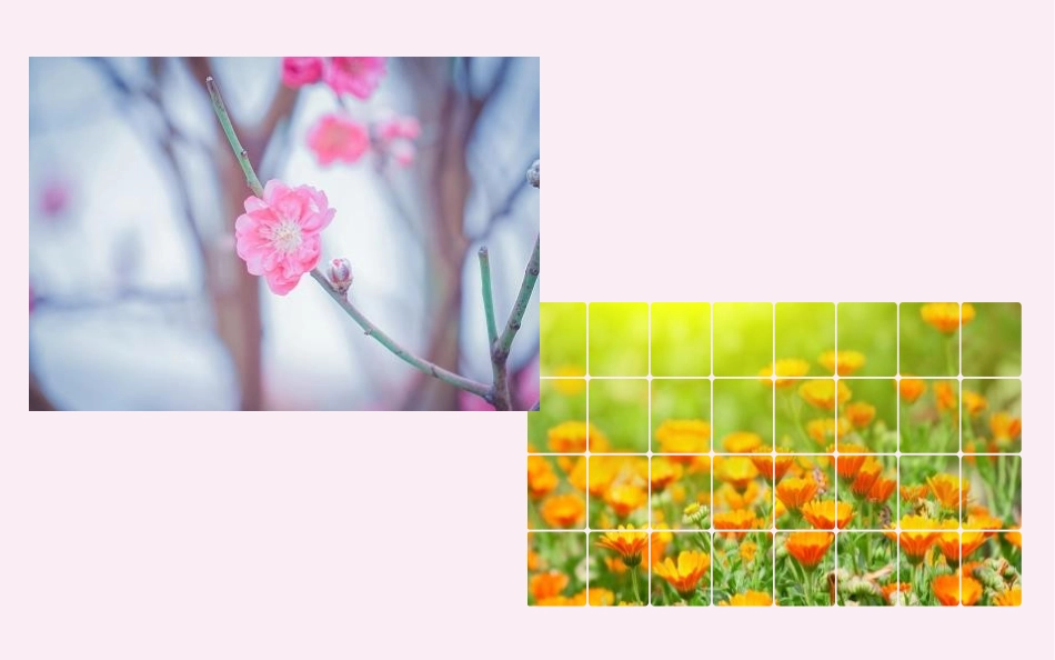 《花之歌》PPT免费优质课件[部编版六年级语文上册]_第3页