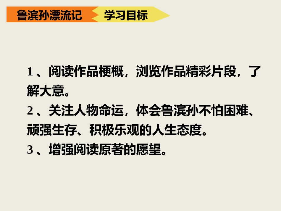 《鲁滨逊漂流记》PPT优秀课件[部编版六年级语文下册]_第3页