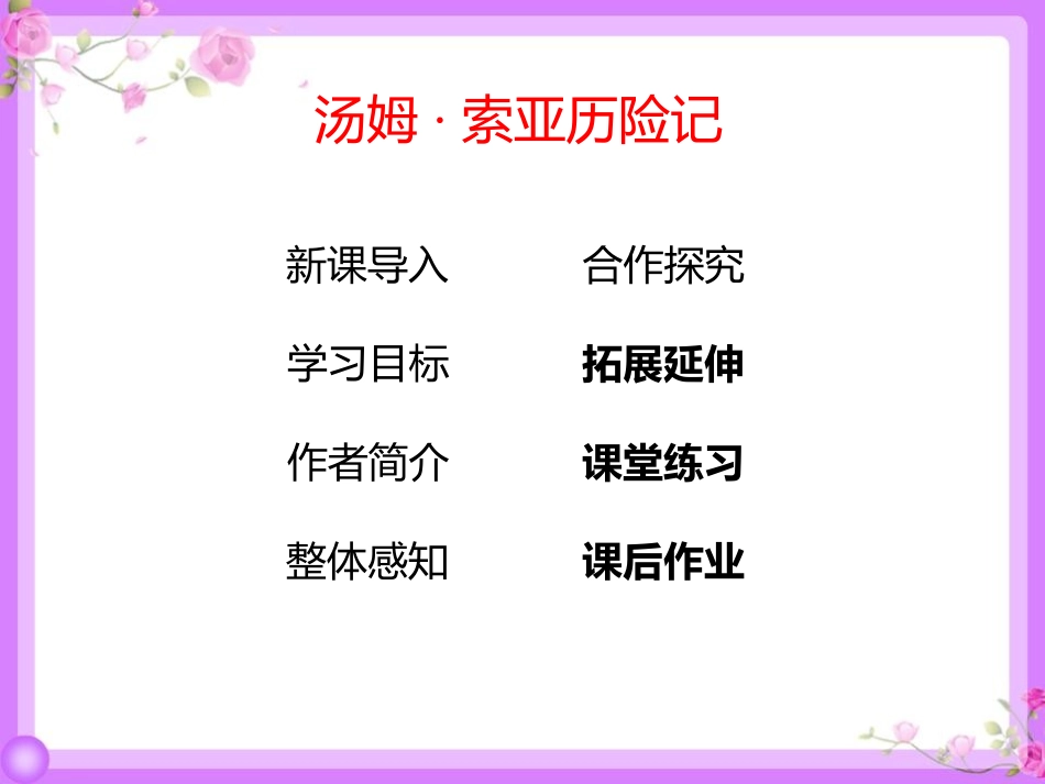 《汤姆·索亚历险记》PPT优秀课件[部编版六年级语文下册]_第2页