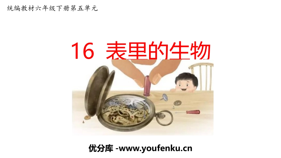 《表里的生物》PPT优质课件[部编版六年级语文下册]_第1页