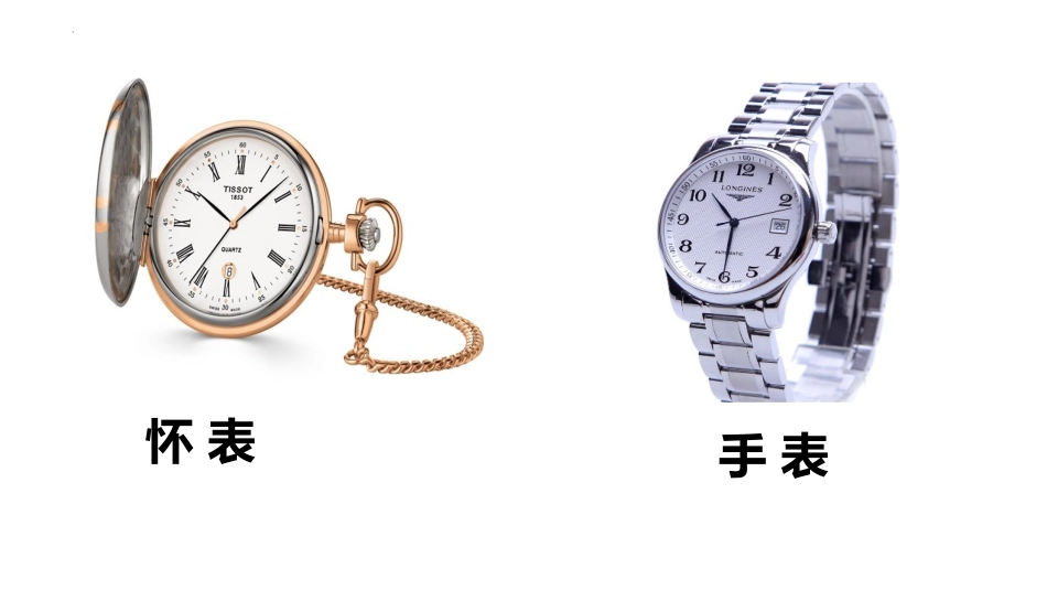 《表里的生物》PPT优质课件[部编版六年级语文下册]_第2页