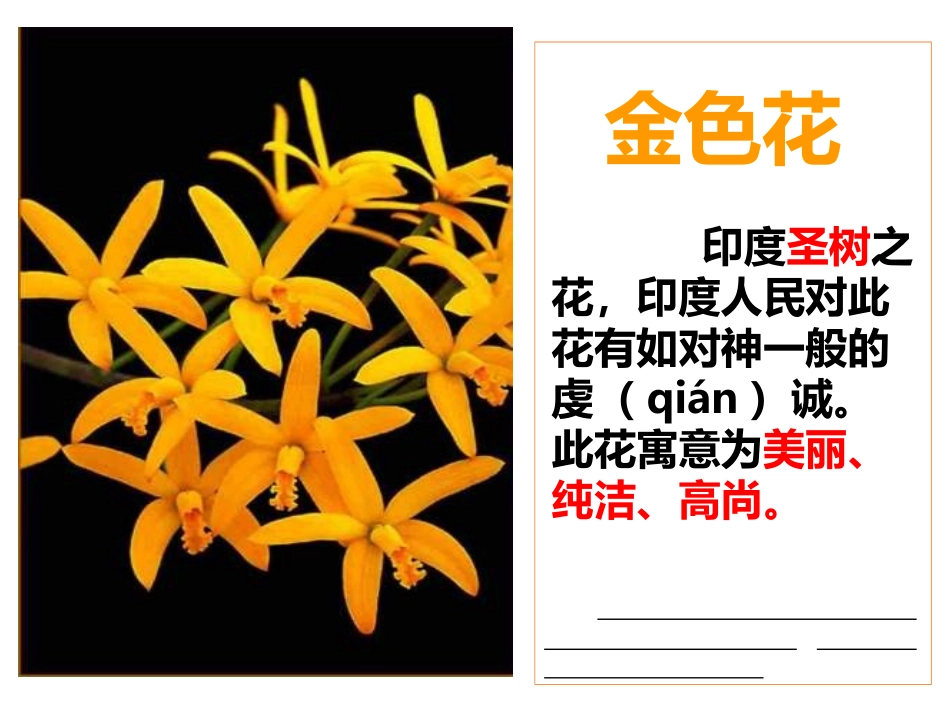 《金色花》散文诗二首PPT教学课件[部编版七年级语文上册]_第2页