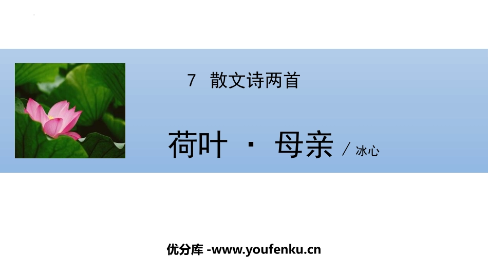 《荷叶·母亲》PPT优质课件[部编版七年级语文上册]_第1页