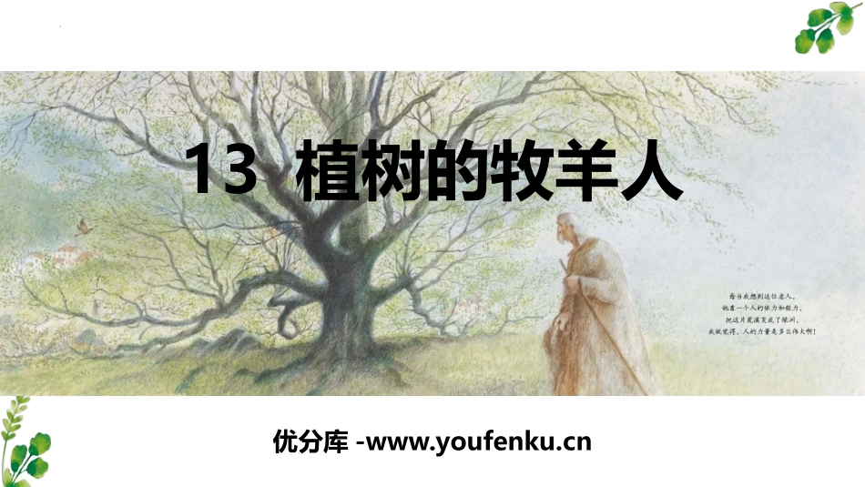 《植树的牧羊人》PPT免费课件[部编版七年级语文上册]_第1页