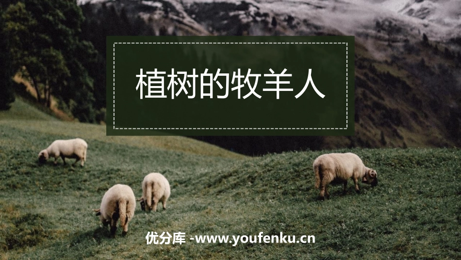 《植树的牧羊人》PPT免费教学课件[部编版七年级语文上册]_第1页