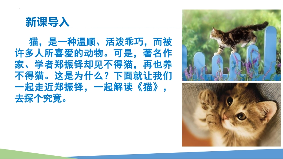 《猫》PPT免费优秀课件[部编版七年级语文上册]_第2页