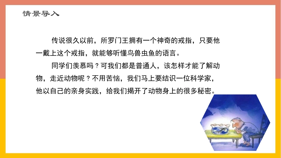 《动物笑谈》PPT优质教学课件[部编版七年级语文上册]_第2页