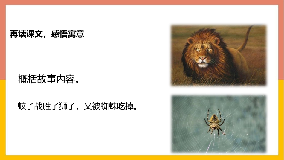 《蚊子和狮子》PPT精品课件[部编版七年级语文上册]_第3页