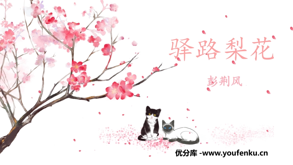 《驿路梨花》PPT优秀课件[部编版七年级语文下册]_第1页