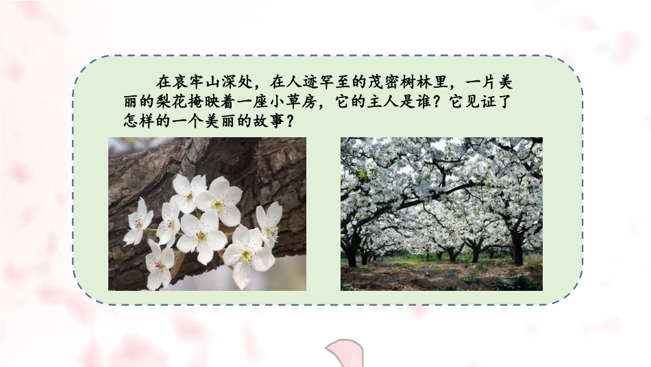《驿路梨花》PPT优秀课件[部编版七年级语文下册]_第2页