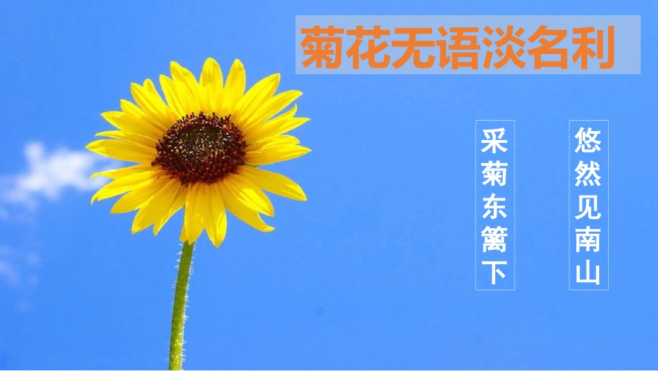 《紫藤萝瀑布》PPT精品教学课件[部编版七年级语文下册]_第3页