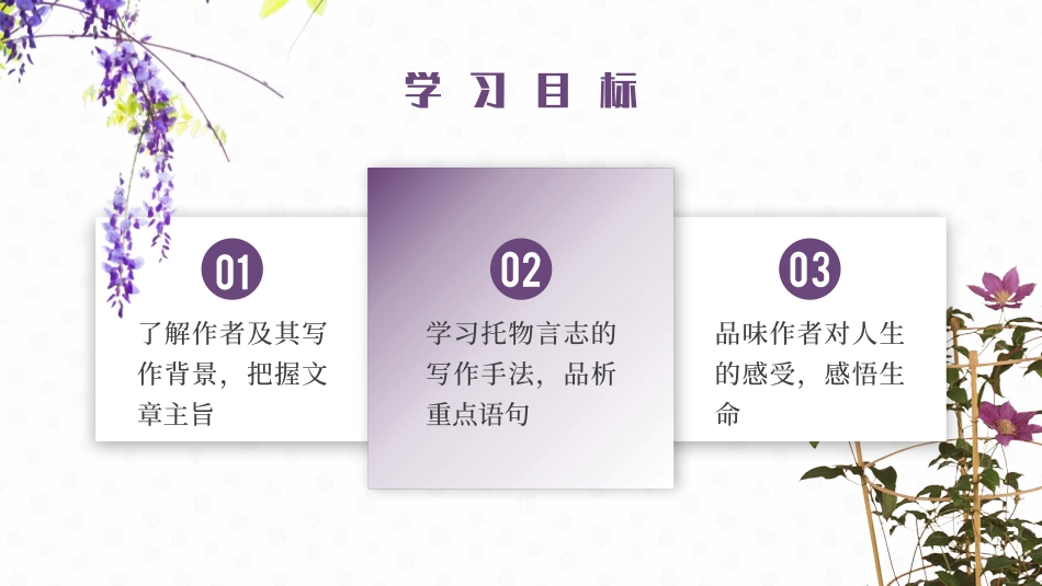 《紫藤萝瀑布》PPT优秀教学课件[部编版七年级语文下册]_第3页