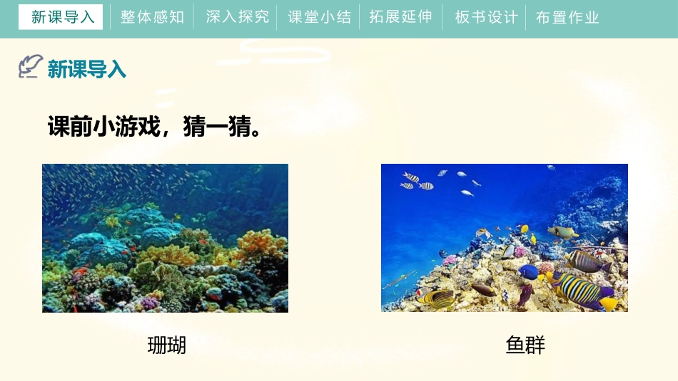 《海底两万里》PPT优质课件[部编版七年级语文下册]_第3页