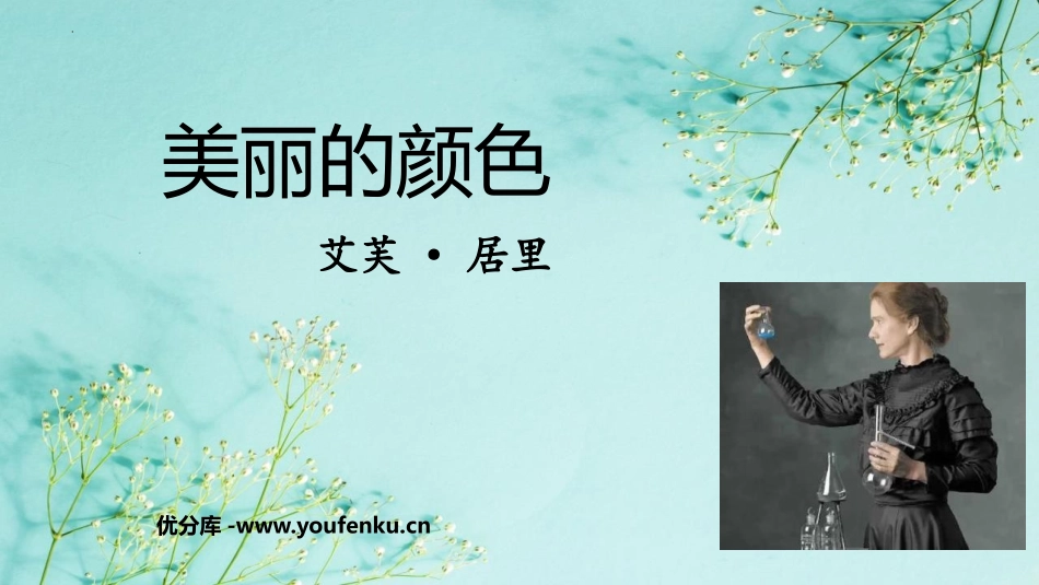 《美丽的颜色》PPT免费教学课件[部编版八年级语文上册]_第1页