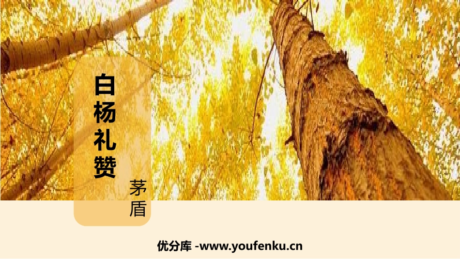 《白杨礼赞》PPT优质教学课件[部编版八年级语文上册]_第1页