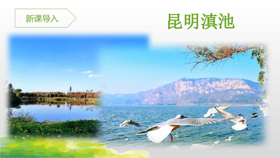 《昆明的雨》PPT免费课件[部编版八年级语文上册]_第2页