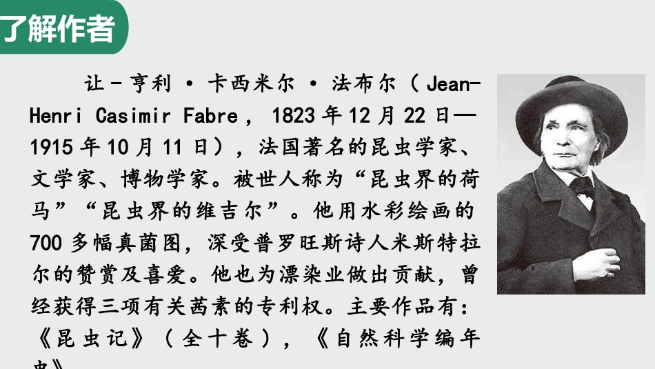 《蝉》PPT精品教学课件[部编版八年级语文上册]_第2页