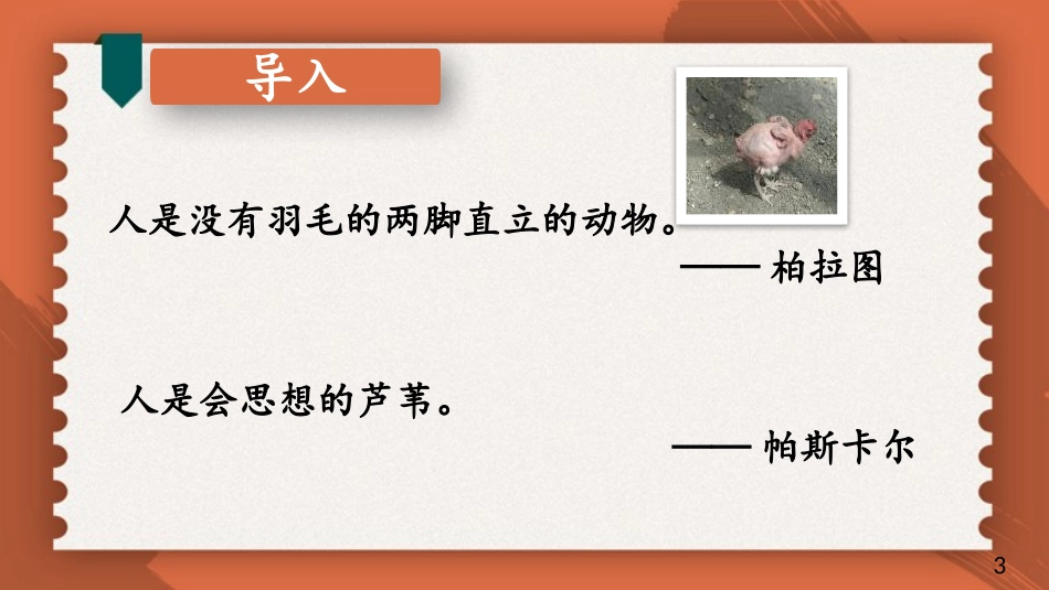《说明事物要抓住特征》PPT免费课件[部编版八年级语文上册]_第2页