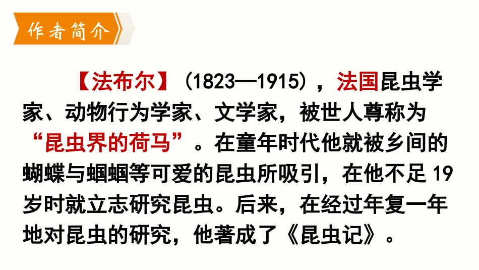 《昆虫记》PPT教学课件[部编版八年级语文上册]_第3页