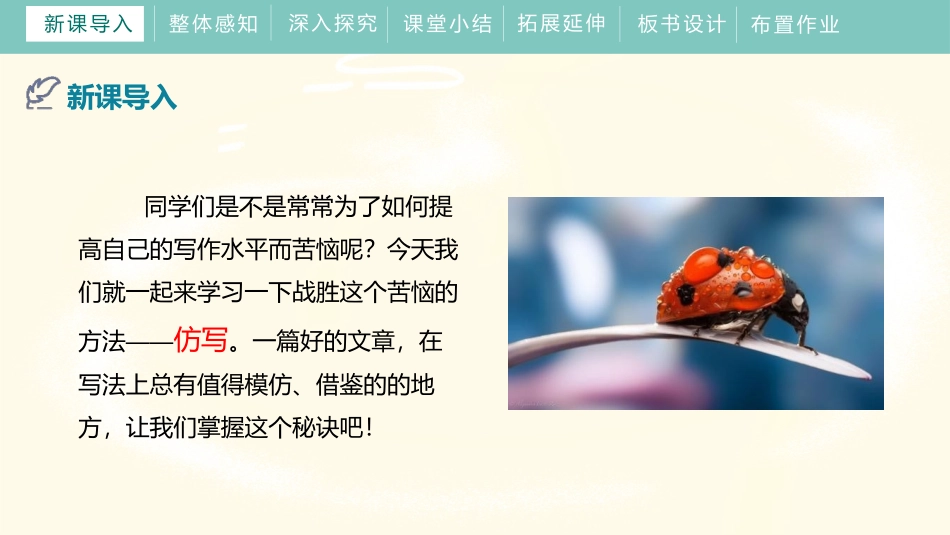 《学习仿写》PPT精品课件[部编版八年级语文下册]_第3页