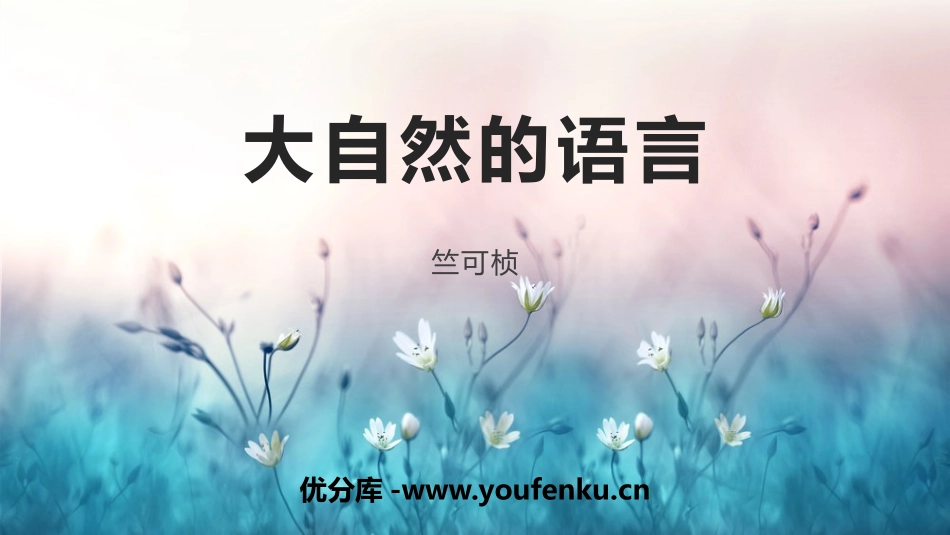 《大自然的语言》PPT优秀教学课件[部编版八年级语文下册]_第1页