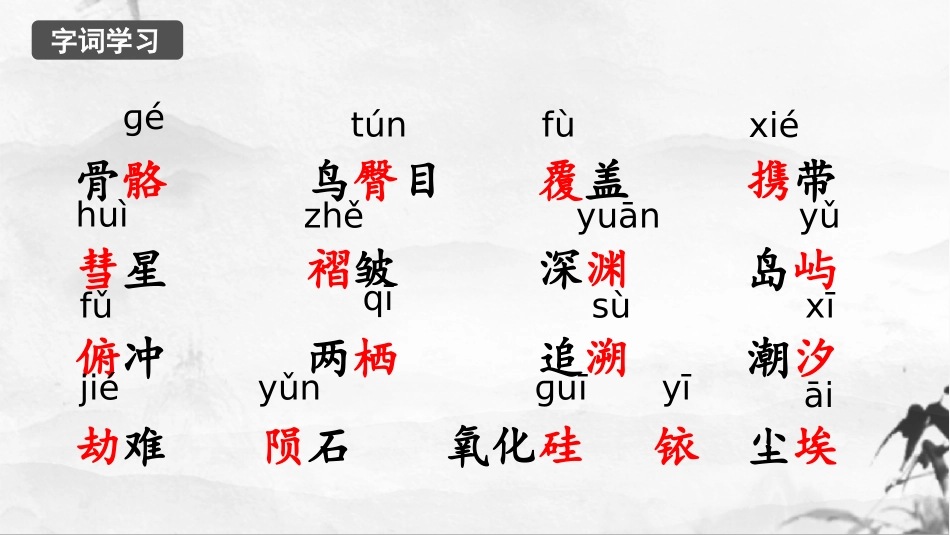 《被压扁的沙子》PPT课件[部编版八年级语文下册]_第3页