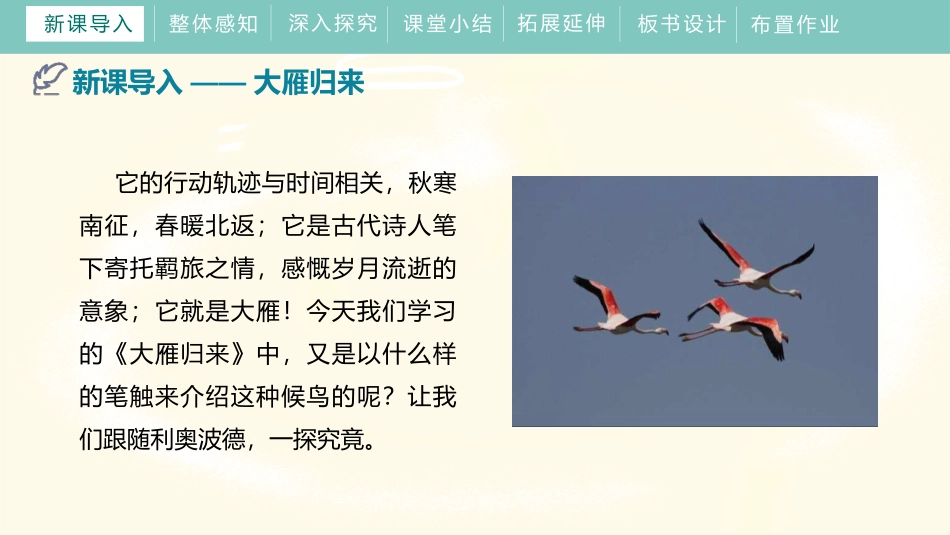 《大雁归来》PPT免费课件[部编版八年级语文下册]_第3页