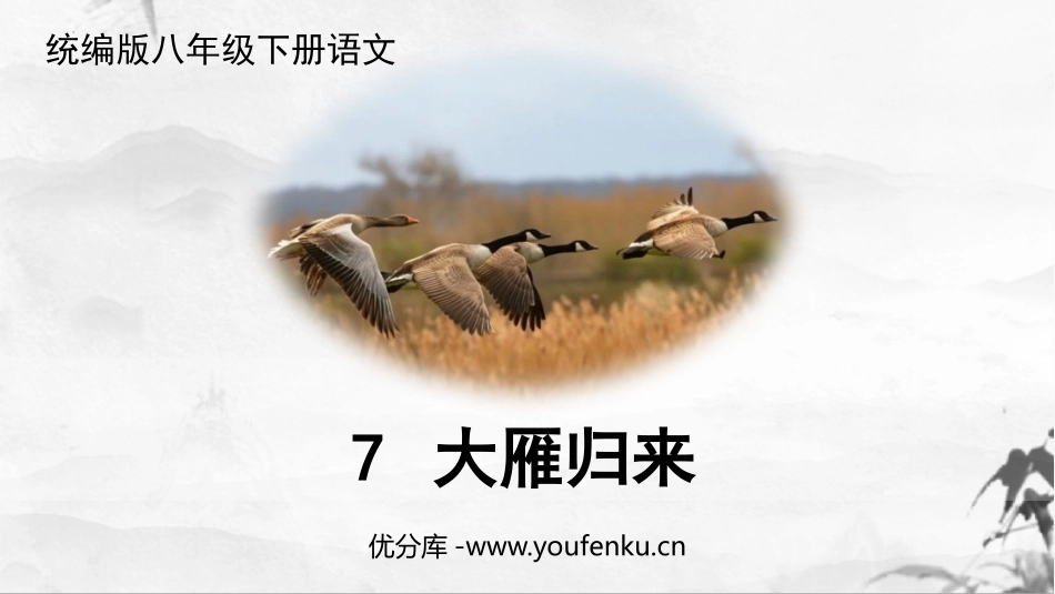 《大雁归来》PPT精品课件[部编版八年级语文下册]_第1页