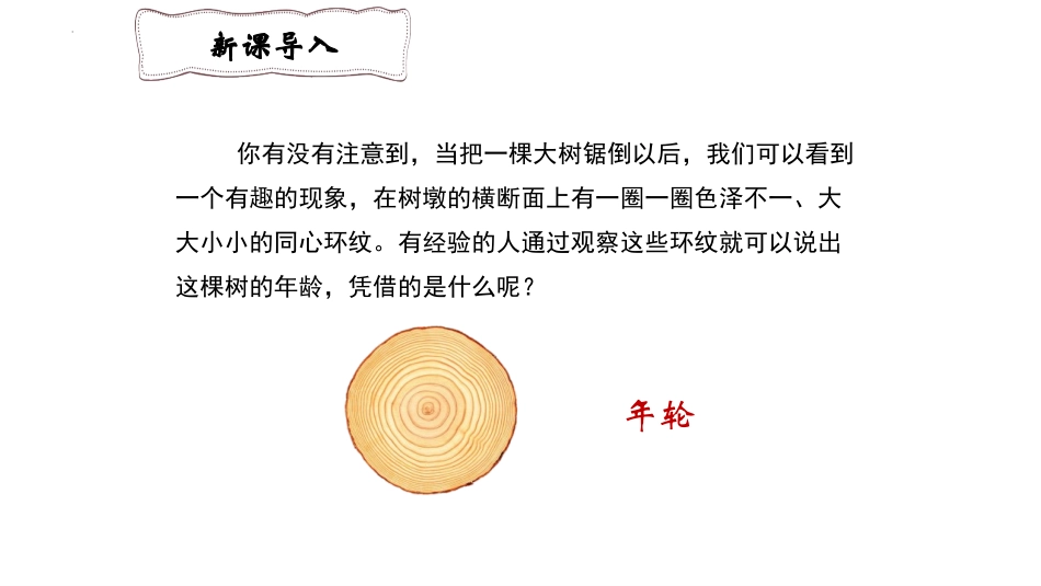 《时间的脚印》PPT优质课件[部编版八年级语文下册]_第2页