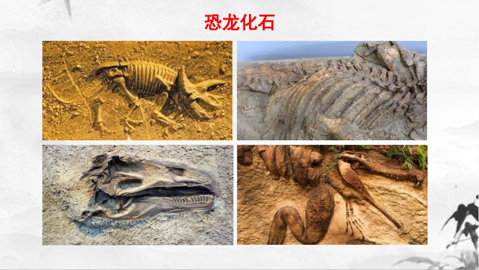 《时间的脚印》PPT优质课件[部编版八年级语文下册]_第3页