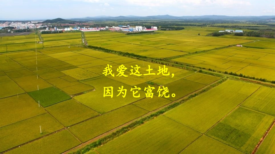 《我爱这土地》PPT免费教学课件[部编版九年级语文上册]_第3页