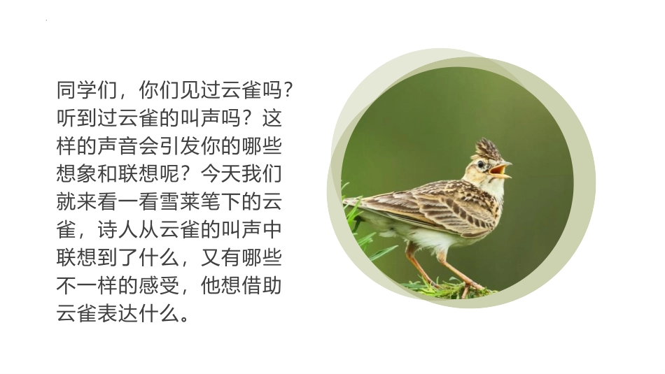 《致云雀》PPT课件[统编版高中语文必修一]_第1页