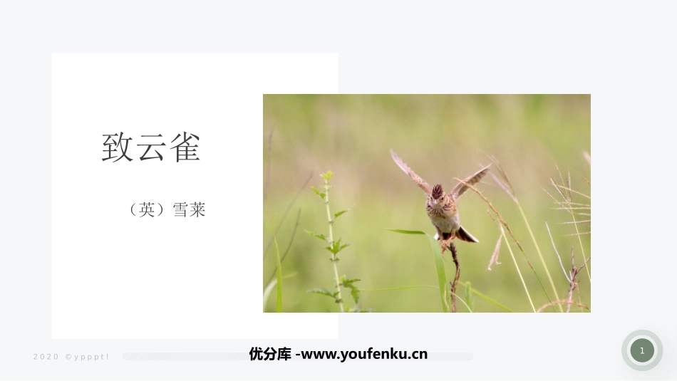 《致云雀》PPT精品课件[统编版高中语文必修一]_第1页