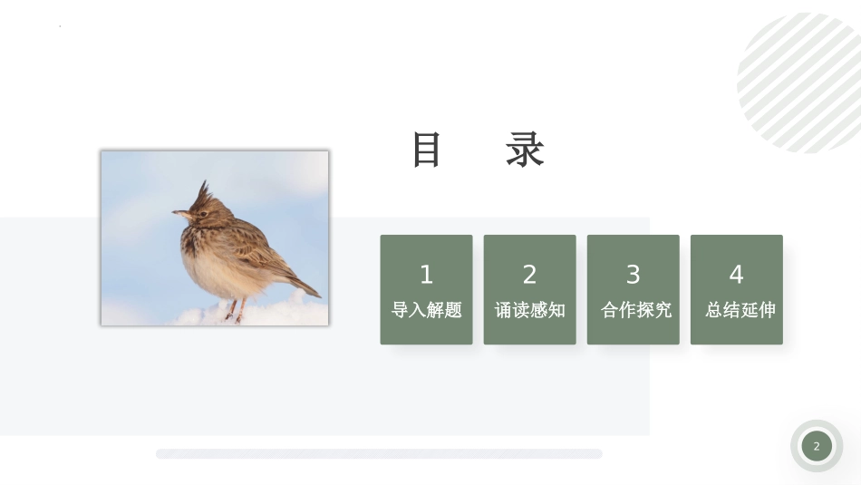 《致云雀》PPT精品课件[统编版高中语文必修一]_第2页