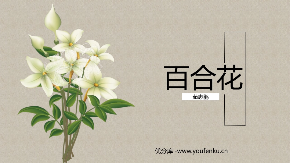 《百合花》PPT优质课件[统编版高中语文必修一]_第1页
