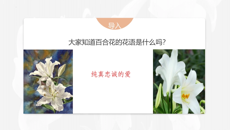 《百合花》PPT课件[统编版高中语文必修一]_第3页