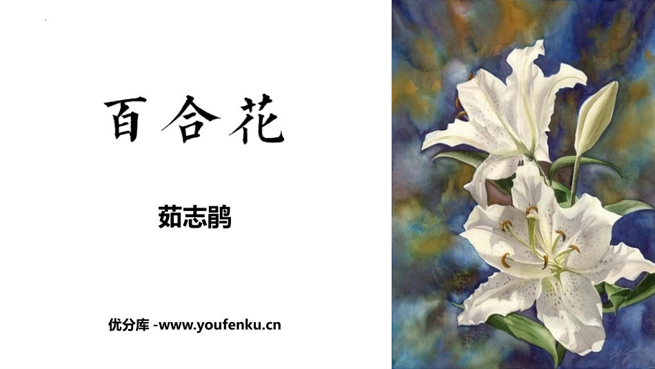 《百合花》PPT教学课件[统编版高中语文必修一]_第1页
