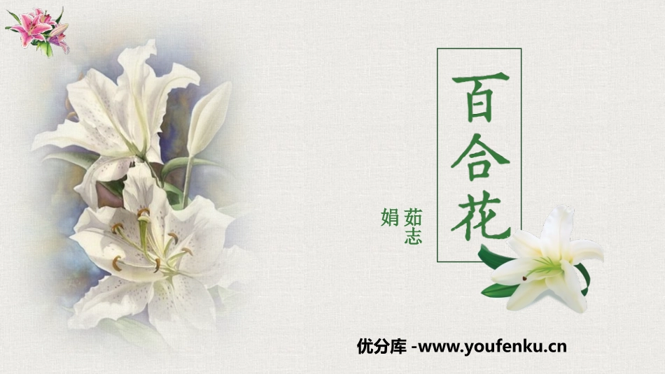 《百合花》PPT精品课件[统编版高中语文必修一]_第1页