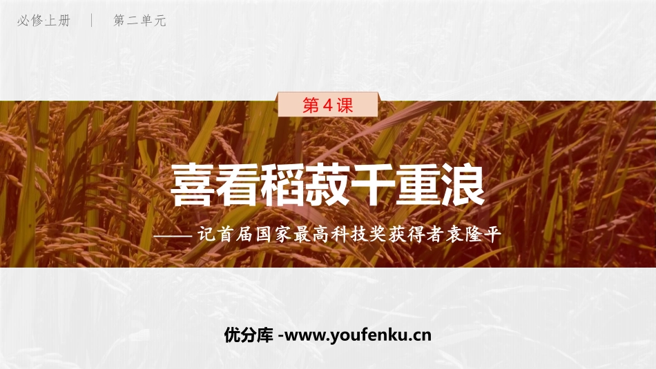 《喜看稻菽千重浪》PPT教学课件[统编版高中语文必修一]_第1页