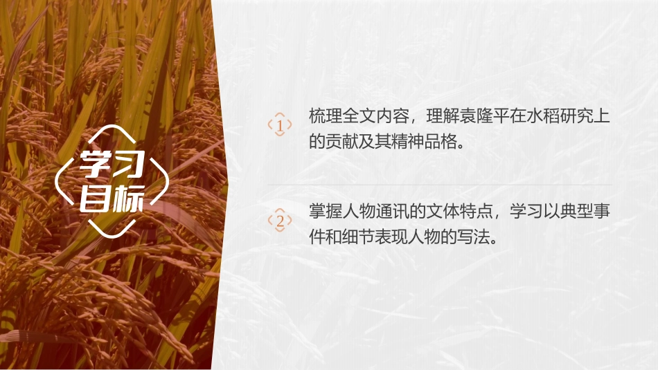 《喜看稻菽千重浪》PPT教学课件[统编版高中语文必修一]_第2页
